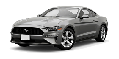 Ford Mustang 2018 - 2023 (FN) Coupe Wiper Blades