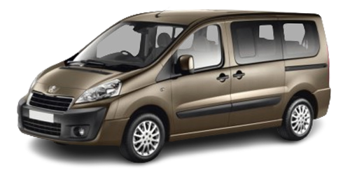 Peugeot Expert (Rear Tailgate, G9) 2008-2012