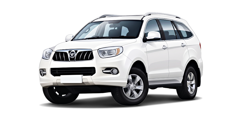 Foton Sauvana
