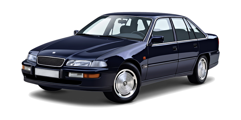 HSV Caprice