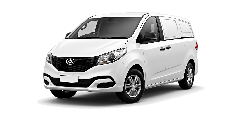 LDV G10
