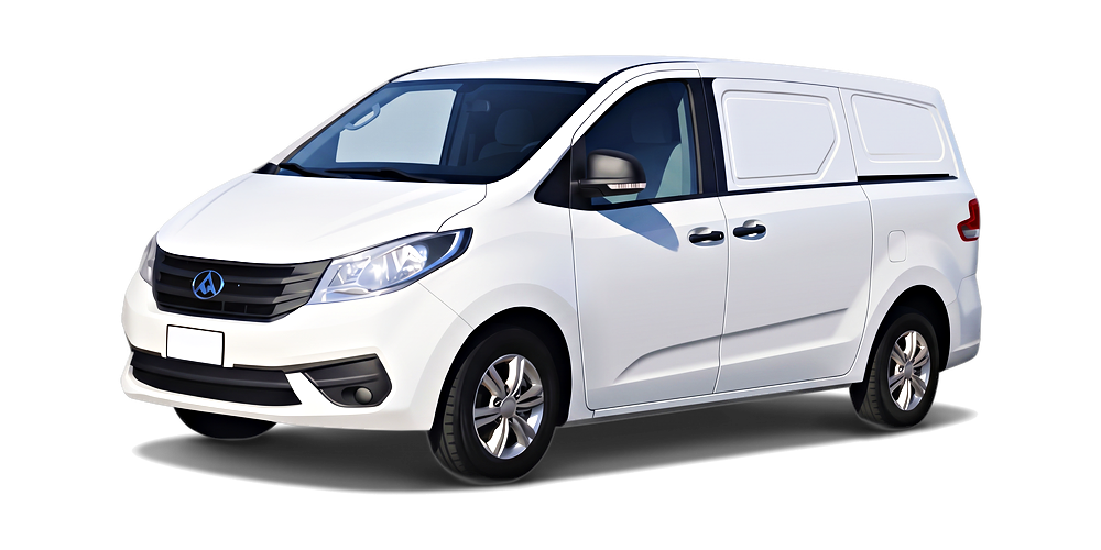 LDV G10
