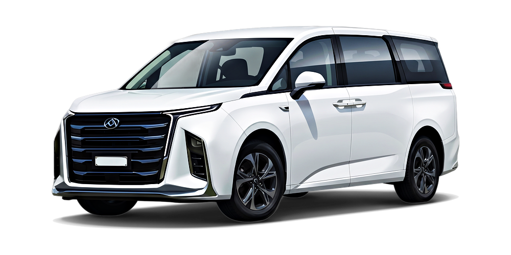 LDV MIFA