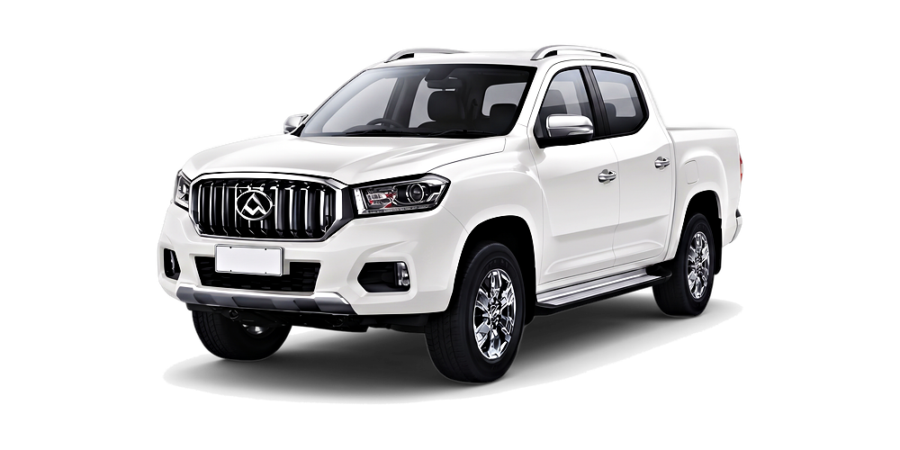 LDV T60