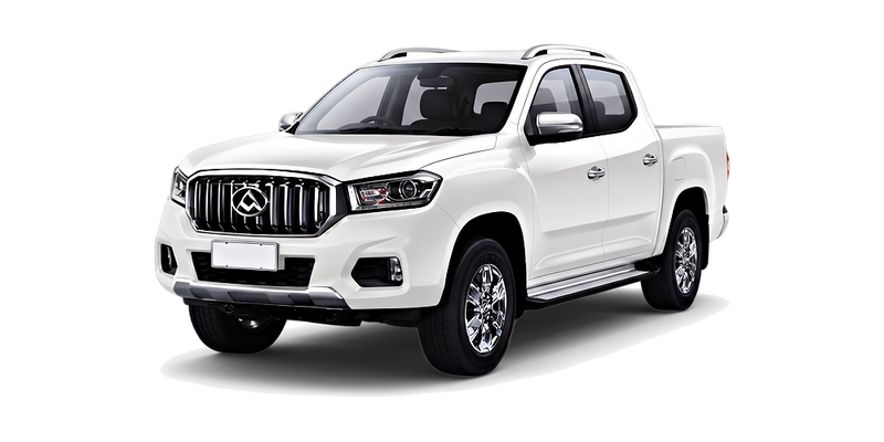 LDV T60 2017 - 2026 (SK8C)