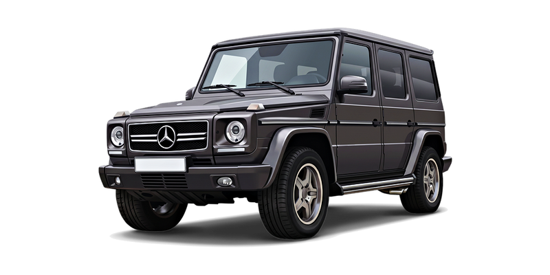 Mercedes-AMG G65 2012 - 2018 (W463)