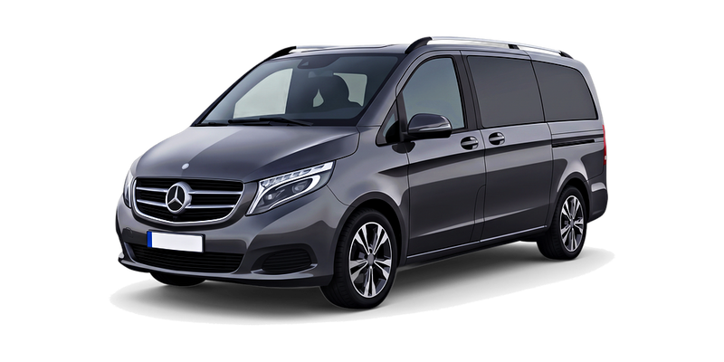 Mercedes-Benz Vito 2014 - 2026 (W447) Rear Tailgate