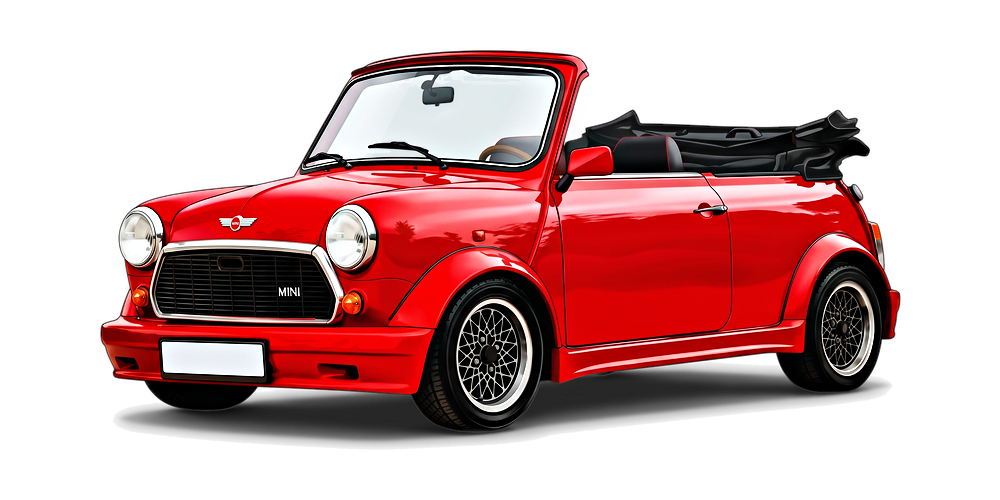 Rover Mini